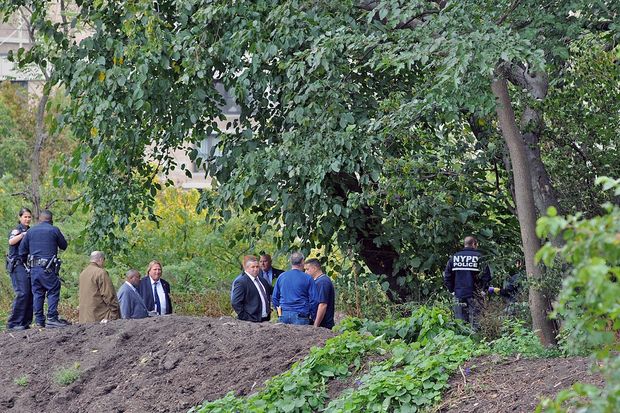 Man's Body Found Hanging from Tree in Central Park, Police Say